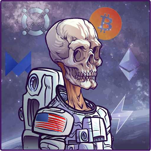 Picture of Collectible Skullz Aldrin 