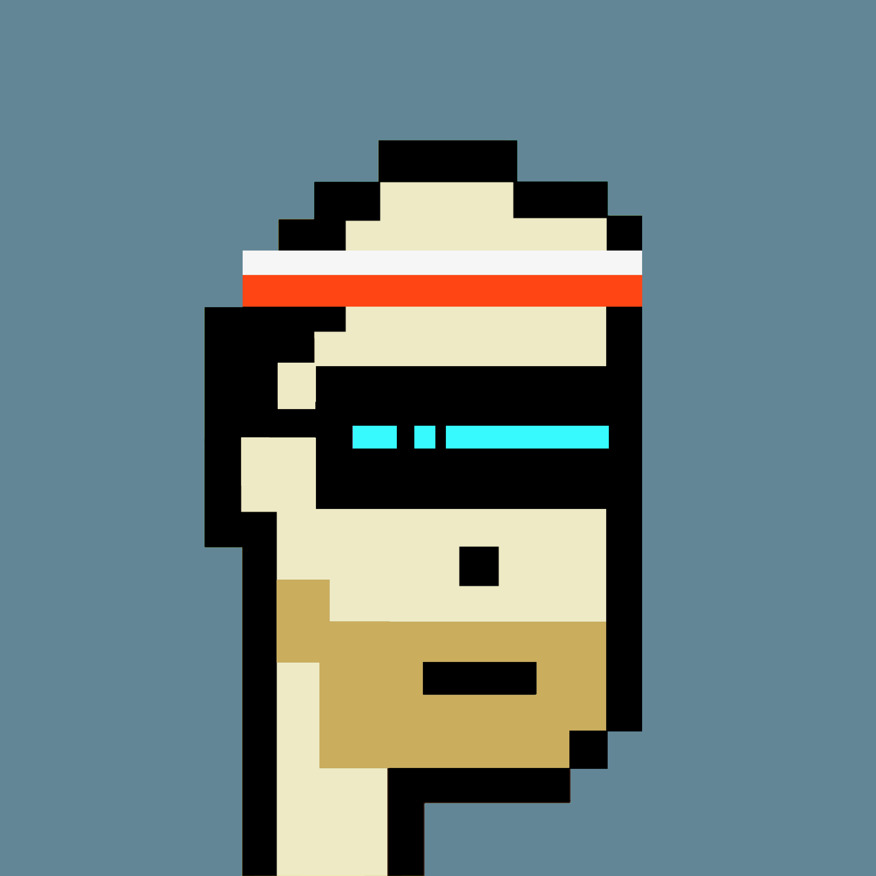 Picture of Collectible CryptoPunks #Y-690